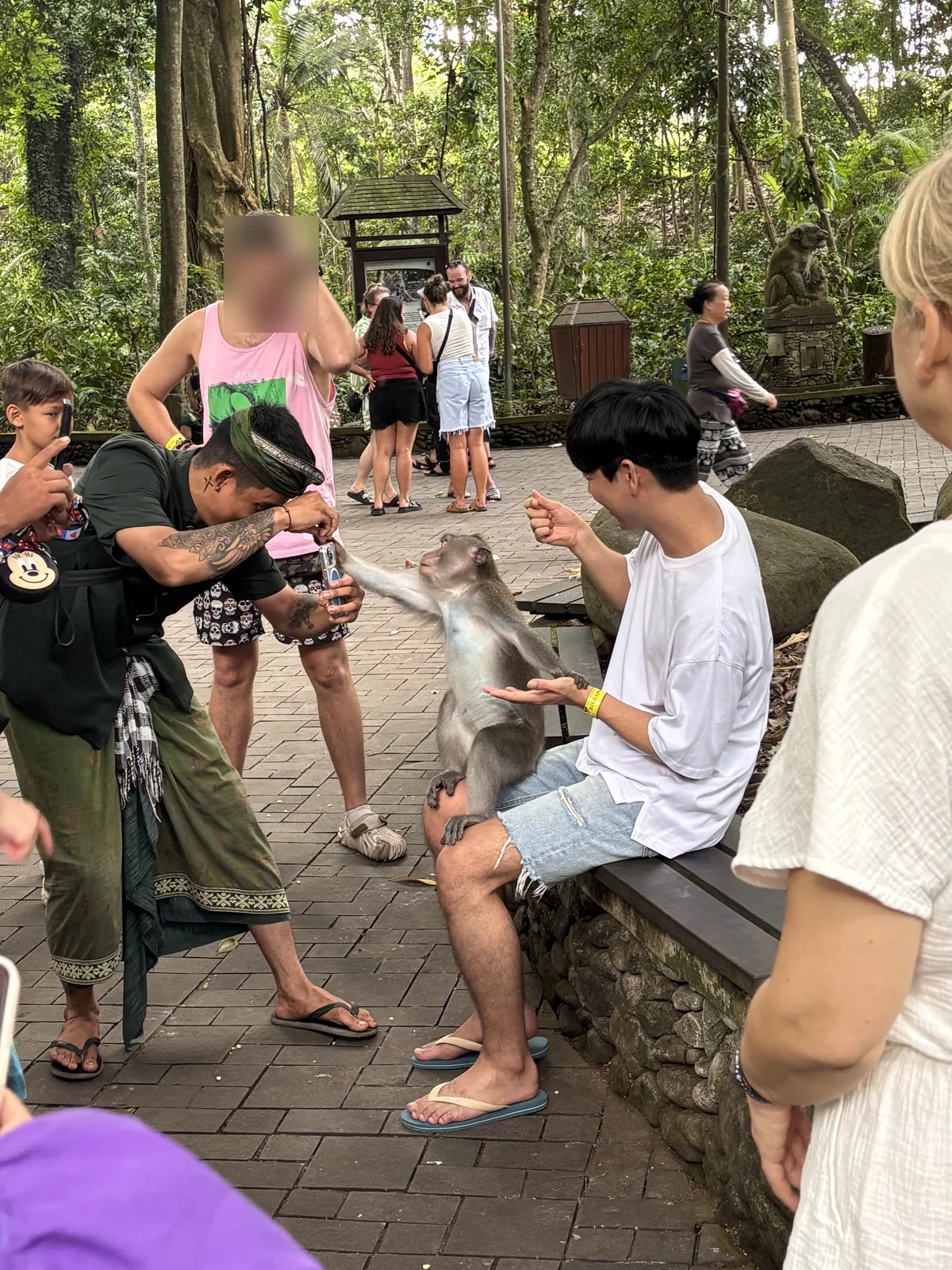 峇里島烏布聖猴森林，一隻長尾獼猴坐在遊客腿上，旁邊遊客拿手機近距離拍照