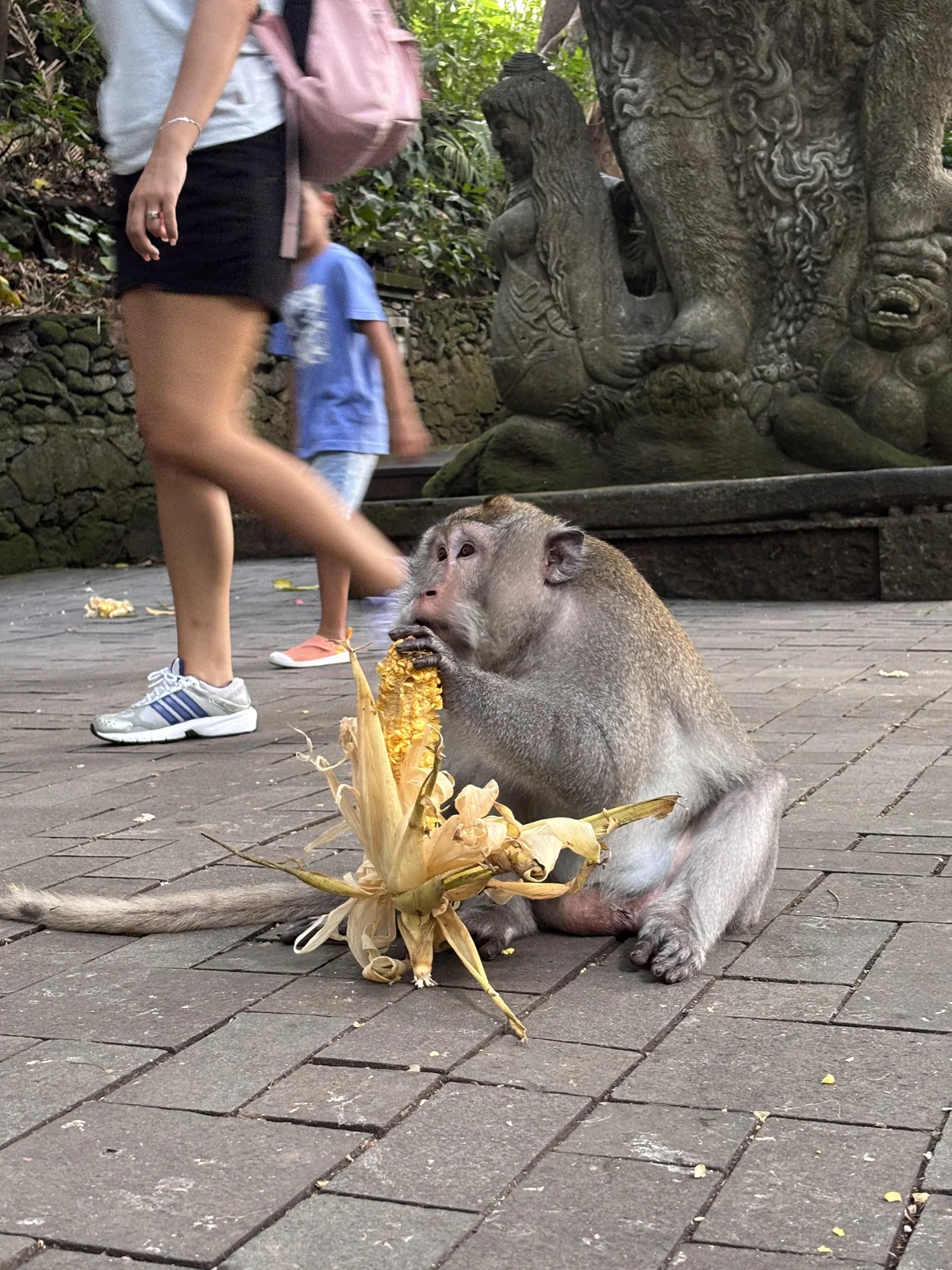 海外旅平險會不會賠？峇里島理賠實記