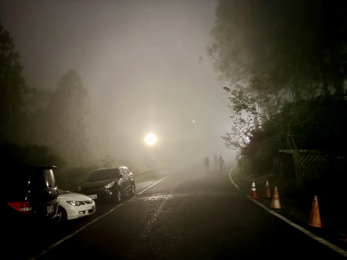 阿里山夜裡的山路，濃霧中一盞路燈發著光，遠處有幾個人的剪影走在路上，路邊停著車與三角錐