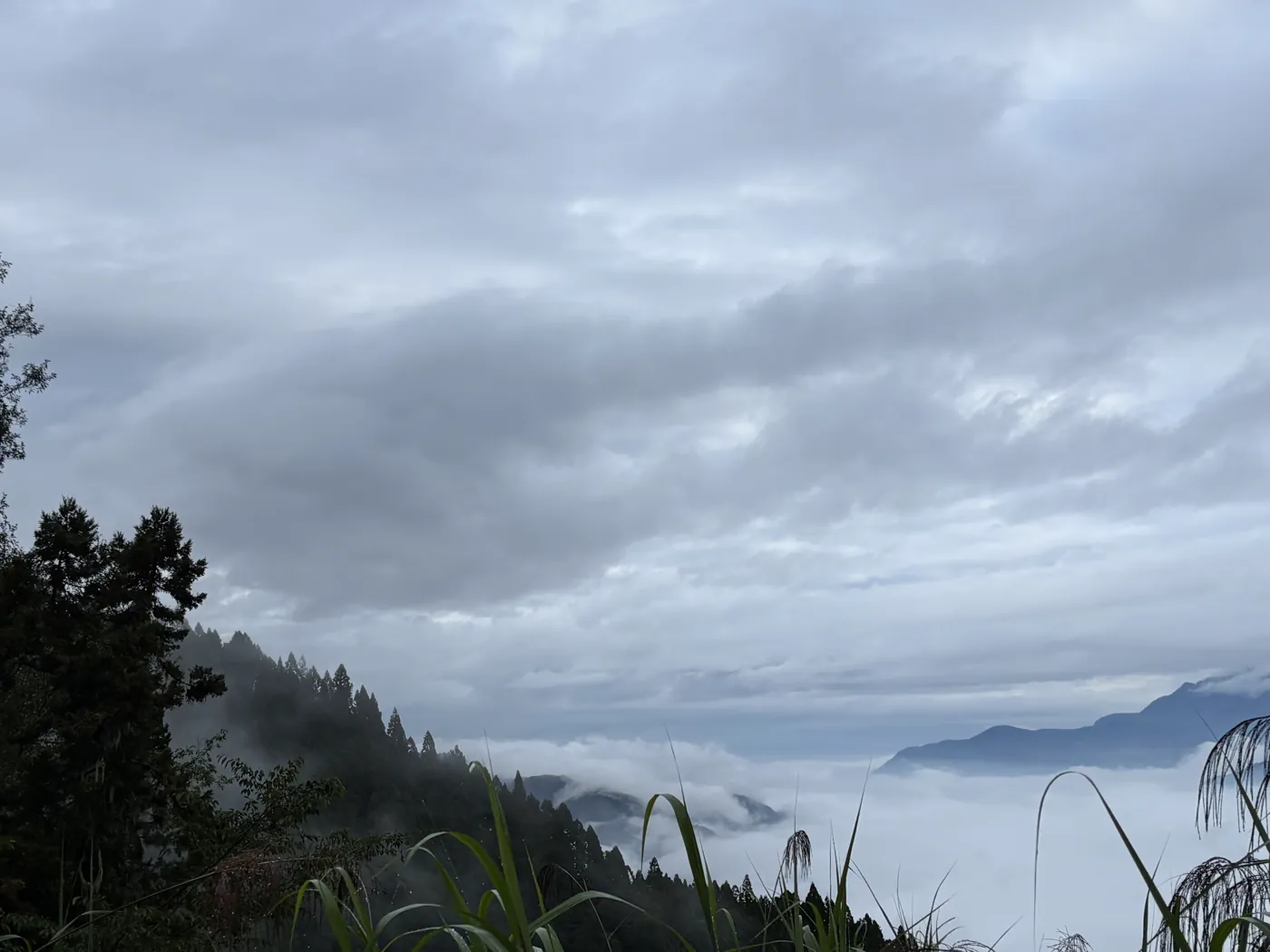 阿里山