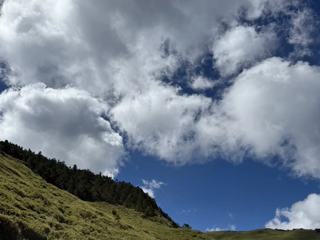 台14甲線山區道路，兩側是青翠的高山草坡與藍天白雲