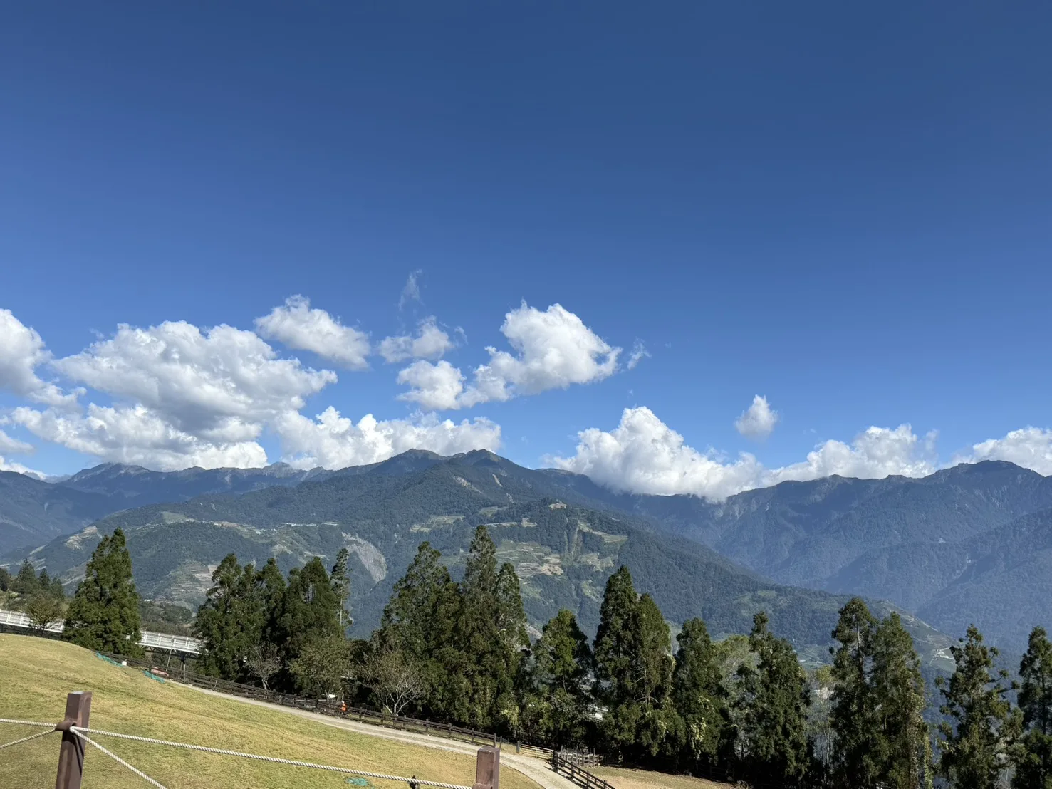 清境農場青青草原景觀，翠綠草坡與遠方層疊山巒，前景有針葉林