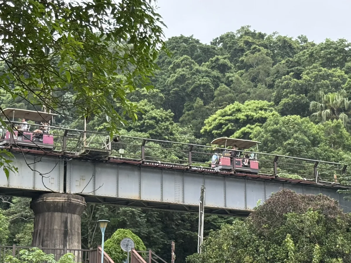 從橋下往上看魚藤坪鐵橋，幾台鐵道自行車正在高架鋼梁上通過，橋墩是圓錐形的水泥柱