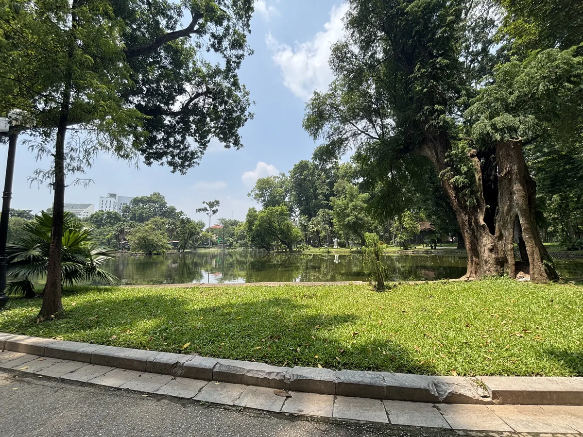 河內植物園裡的水池與大樹，步道上沒有遊客